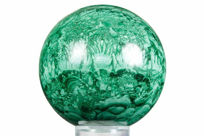 Flowery Polished Malachite Sphere - DR Congo #348897